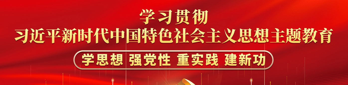 学习贯彻习近平新时代中国特色社会主义头脑主题教育